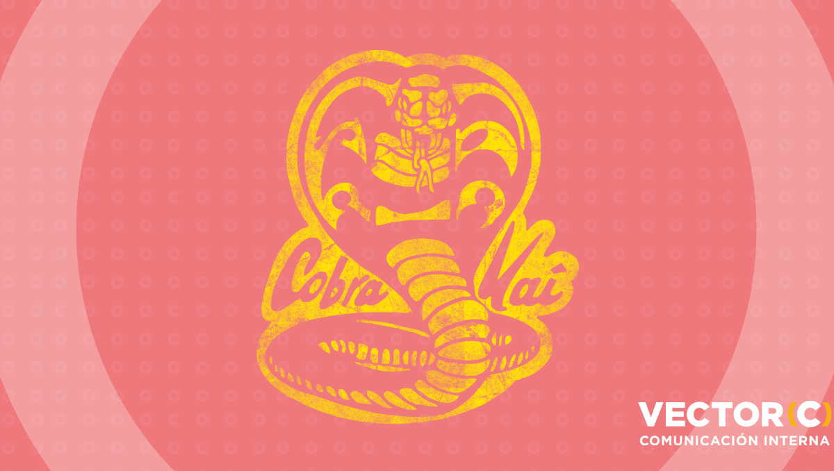 La cadena de valor en las empresas